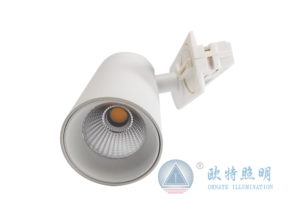 导轨灯DSCN0143