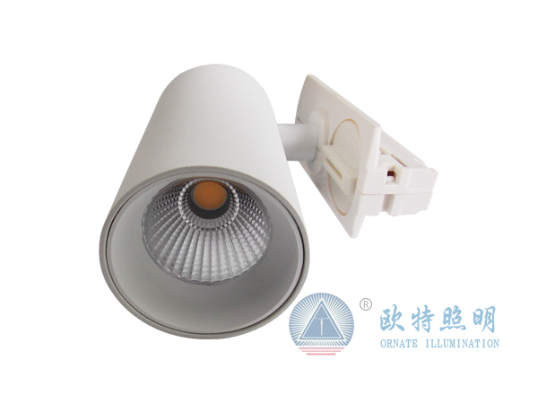 导轨灯DSCN0146