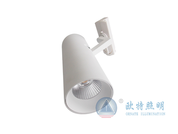 导轨灯DSCN0148