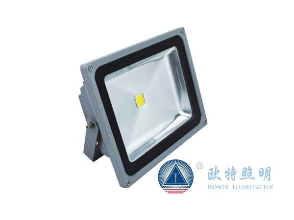 厂家供应大功率100WLED 投光灯